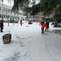 Rekordna količina soli bačena u Nišu! Više od 150 radnika čisti ulice [VIDEO]