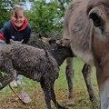 Mladi par iz Srbije oživeo malo dalmatinsko mesto: Dobili prvu bebu u selu posle rata i postali hit na mrežama
