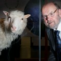 Umro "otac" ovce Doli: Kontroverzni naučnik klonirao prvog sisara ikada