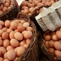 Srbija izvozi jaja u Albaniju