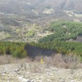 Darko Djordjević, Park prirode Stara planina: Požar je zahvatio oko 30 hektara. Crni bor izgoreo na skoro polovini opožarene…