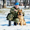 Vojska Srbije „rashoduje“ pse: Petsto dinara za „suvišnog“ nemačkog ovčara