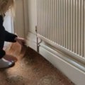 Renovirala kuću, pa otkrila tajnu staru decenijama Žena podigla tepih i zatekla prizor koji ledi krv u žilama! (video)