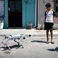 VIDEO: Meksički grad uz pomoć psa-robota želi da podigne svest o pravima životinja