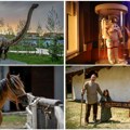 Где на викенд са децом? 10 дестинација у Србији које ће ваши малишани памтити заувек