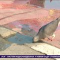 Vrućina kao najveći izazov za radnike na otvorenom