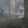 Lokalizovani požari kod Zaječara i Knjaževca: Izgorelo 200 hektara šume i rastinja