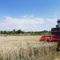 Hektar njive u Srbiji kao vila na dedinju: Ova oranica oborila je rekord