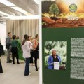 Milion stabala, jedna priča – retrospektivna izložba posvećena projektu “Zasadi drvo”
