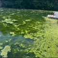 Ponovo procvetalo jezero u Međuvršju