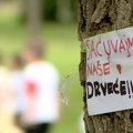U Kraljevu protest zbog seče desetine stabala