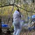 Spasioci izvlače telo, avion ostao u drveću: Prva slika s mesta nesreće u kojoj je poginuo balkanski milioner