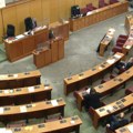Poslanicu udarila struja u hrvatskom parlamentu, prostorijom se prolomio vrisak: Kamere sve snimile
