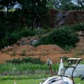 Pao helikopter "letećih lekara" u Maleziji: Poginulo pet osoba