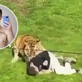 (Video) Ovo je mladić (20) kog je ubio tigar! Ušao u kavez predatora, jezivi snimak prikazuje poslednje trenutke