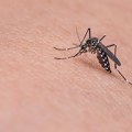 Prskanje komaraca u Sremskim Karlovcima danas i sutra