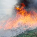 Požar pored auto-puta Novi Sad-Subotica, širi se plamen VIDEO