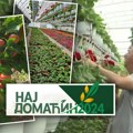 Tošići iz Čumića proizvedu oko pola miliona cvetnica godišnje, beru voće sa 15 hiljada stabala i sanjaju da cvećarstvo…