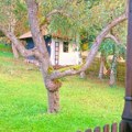 Etno Sela i Salaši: Priroda i tradicija u duši