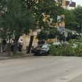 Jak vetar obarao drveće u Leskovcu