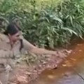 Meštani mislili da je granje, a onda se pomerilo Džinovska zver od 6 metara vrebala iz potoka, prizor ledi krv u žilama…
