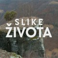 Slike života, nedelja u 15.15h: Zemlja Kraljeva