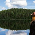 Potraga za zlatnom polugom od 20.000 evra: Turistička atrakcija koja ovog leta privlači hiljade posetilaca
