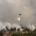 Dačić: Požar kod Zaječara zahvatio oko 100 hektara, gasi ga i helikopter, nema povređenih