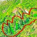 Otkrivene ogromne plantaže kanabisa u Hercegovini