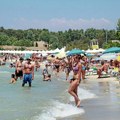 Počela sezona paradajz turizma Srbin objavio fotku sa plaže, napravio haos na mrežama: Kriške hleba, paradajz i... "Nema…