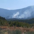 Bukti Suva planina kod Bele Palanke, gori i borova šuma: "Vrlo teško se gasi, kiša nije pala mesec dana"