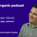 Tamo gde koke slobodno šetaju: Organska jaja Selevac su šampion domaće proizvodnje, a evo kako da razlikujete pakovanje od…