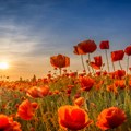 Danas sunčano i toplo , temperatura do 34