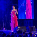 Usijanje na tvrđavi: Ceca Ražnatović zablistala na koncertu u Nišu na Vidovdan (foto)