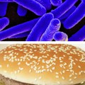 Mekdonalds povlači “problematične hamburgere” Nema ih u petini restorana Evo koje su najveće epidemije u SAD