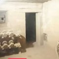 Godinama živeli u kući, nisu na znali da je ispod tajni nacistički bunker: Poruka na zidu sledila im je krv u žilama (video)…
