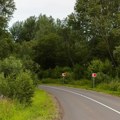 Kad su ušli u žbunje, odsekle su im se noge od straha - uskoro su shvatili kakav se horor desio