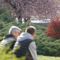 Posle hladnog jutra, pretežno sunčano i toplije: Temperatura do 23 stepena