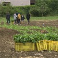 Sve više mladih pronalaze svoja interesovanja u oblastima koje hrane svet i čuvaju prirodu