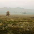 Dramatičan skok cijena poljoprivrednih zemljišta u Hrvatskoj