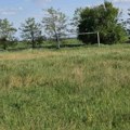 Vraćeno 36.265 kvadrata: U Temerinu sačuvano mesto koje su 1920. naselili solunski dobrovoljci