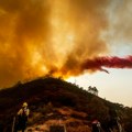 Požar u Centralnoj dolini u Kaliforniji traje već 11 dana, gasi ga 6.000 vatrogasaca