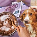 Kako pokrenuti sopsvetni biznis sa samo 1.000 evra: Ne treba vam silna papirologija, a prihodi su zadovoljavajući