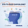 Istraživanje "Šta to radi zaposlene": fleksibilnost važnija od plate