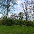 Sunčano pre podne, popodne pljuskovi i grmljavina, temperatura do 26 stepeni