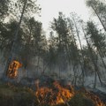 Požar na Dinari na području opštine Bosansko Grahovo spušta se prema naseljima Podgora i Peulje