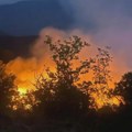 Veliki požar u Gornjoj Lopušnji kod Vlasotinca, gori oko tri hektara borove šume
