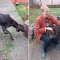 Priča koja vraća veru u ljude: Smiljana Pavić godinama spasava pse koje su svi drugi odbacili