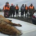 Grupni lov na ravnogorsku lisicu, preko 200 lovaca jutros se okupilo na padinama Maljena, Suvobora i Ravne Gore
