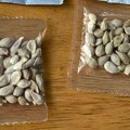Čovek dobio paket s misterioznim semenkama iz Kine i odlučio da ih zasadi: Evo šta se dogodilo